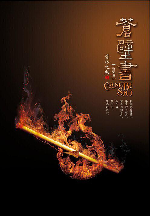 苍壁书（共三册）