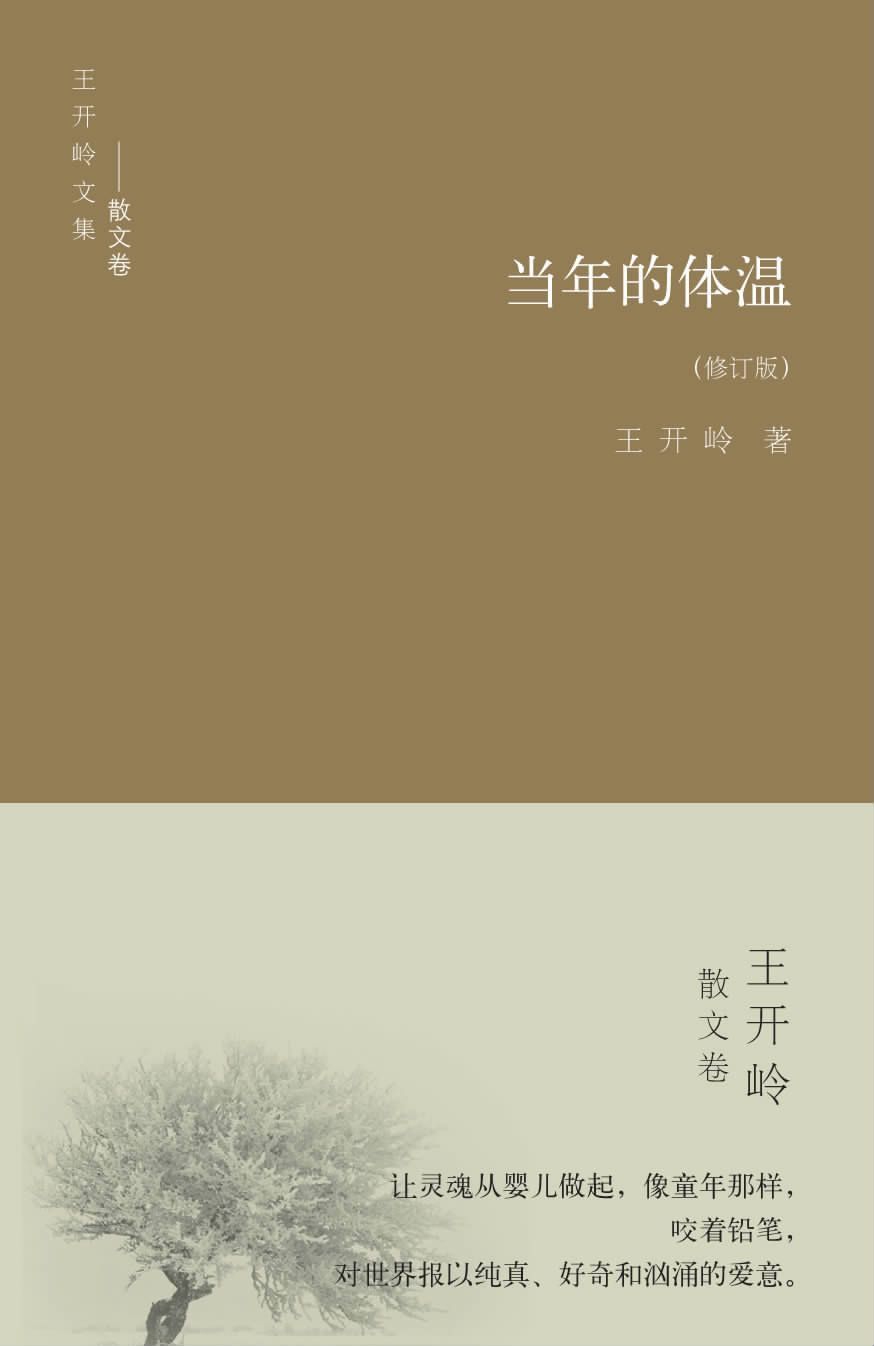 当年的体温 (王开岭文集•散文卷)