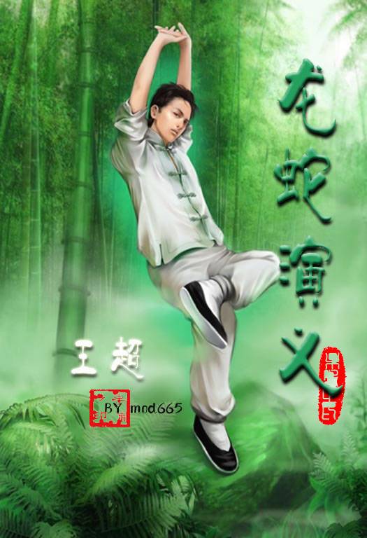 龙蛇演义