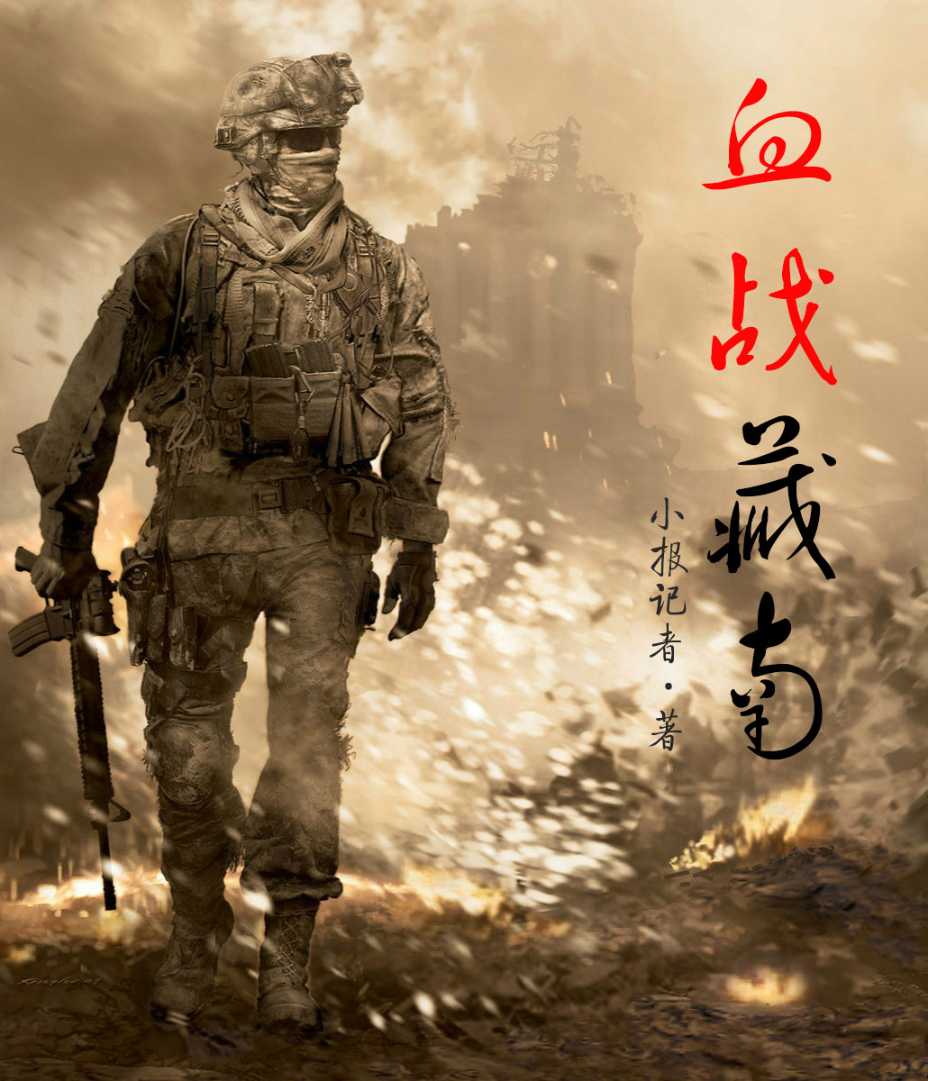 血战藏南