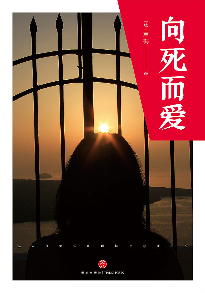 向死而爱（挺立在绝望的废墟上寻找希望！从困境里奋起，一本写给当下女性的自励书。著名学者李泽厚感叹推荐！）