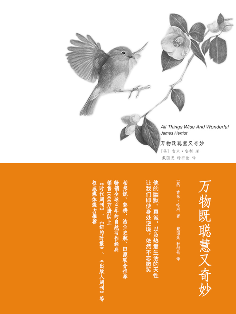万物既聪慧又奇妙