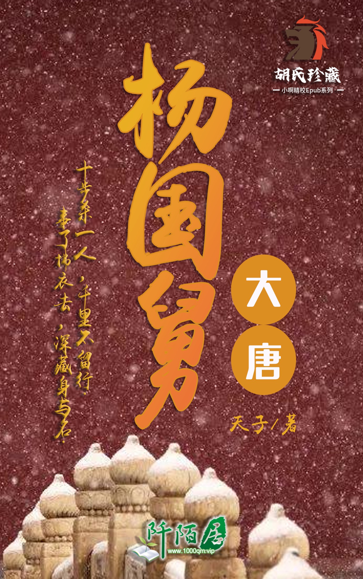 大唐杨国舅