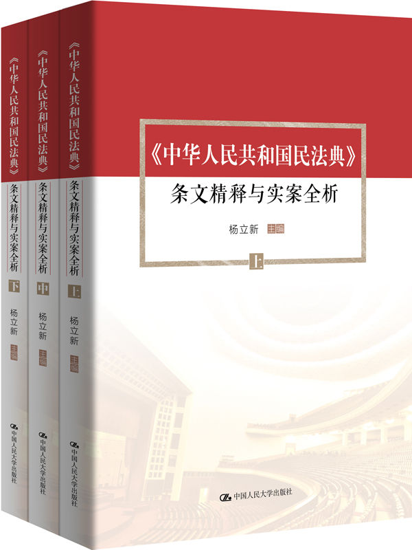 《中华人民共和国民法典》条文精释与实案全析（全三册）