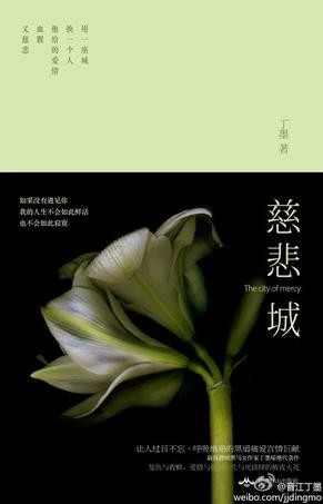 慈悲城——丁墨
