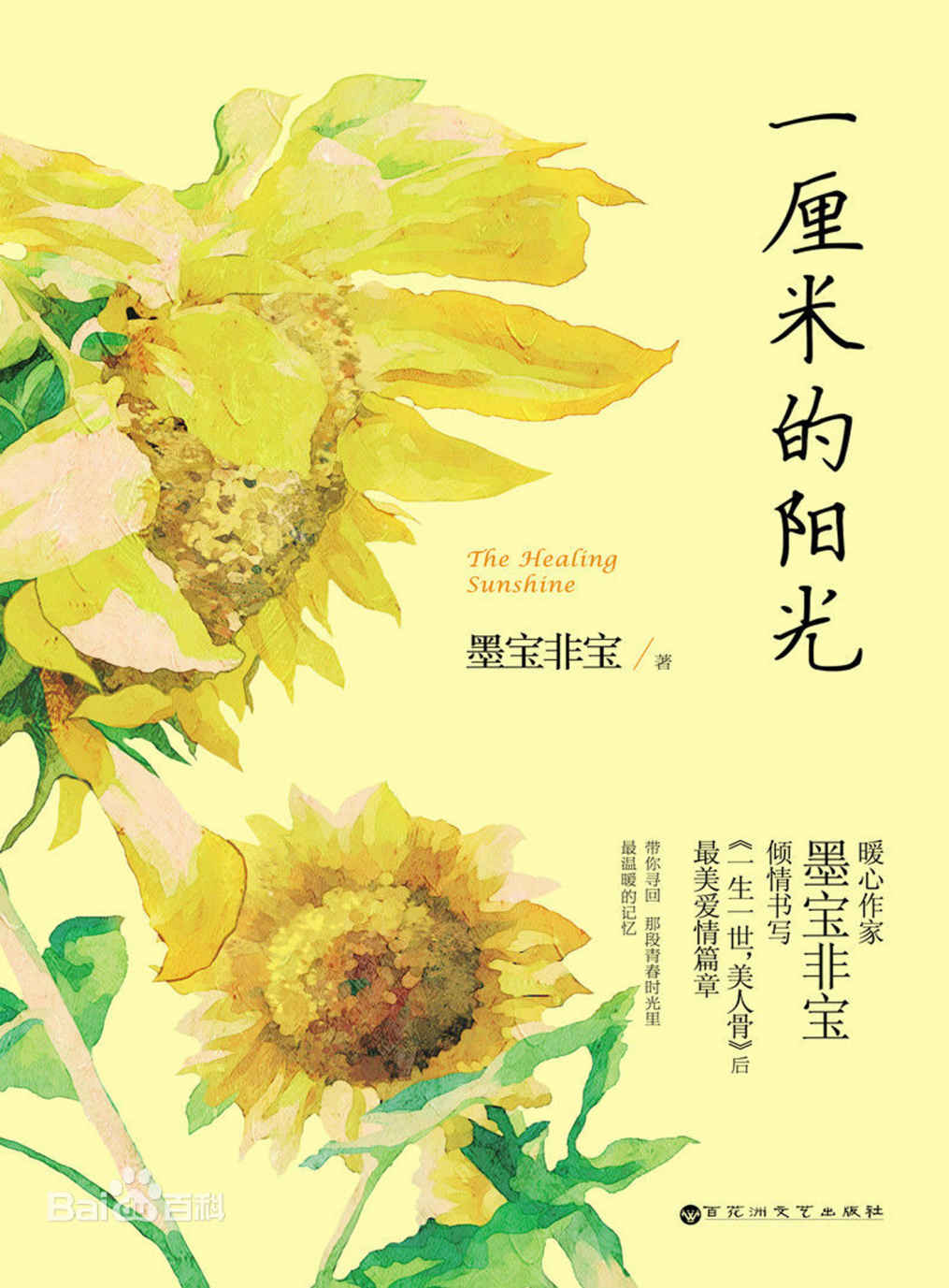 一厘米的阳光 (网络超人气言情小说系列)
