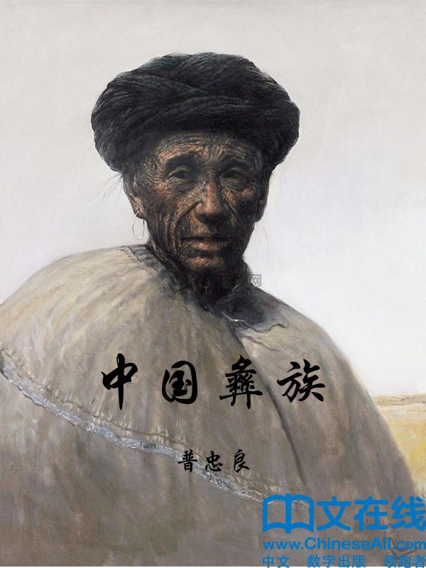 中国彝族 (中华民族文化丛书)