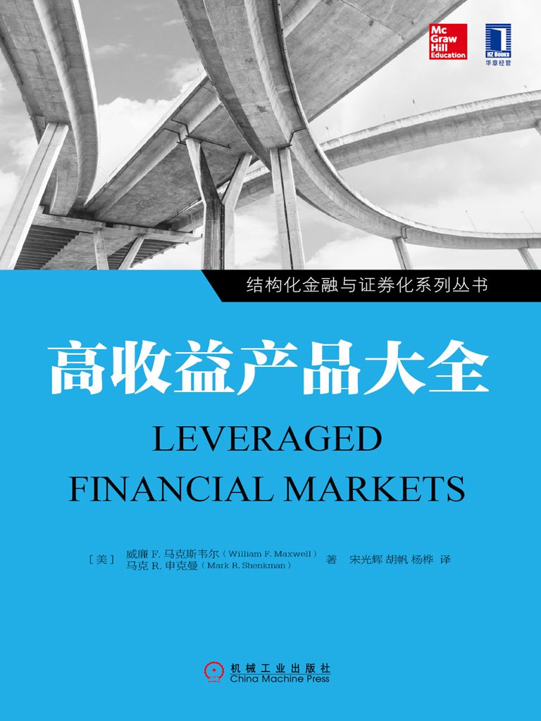高收益产品大全 (结构化金融与证券化系列丛书)