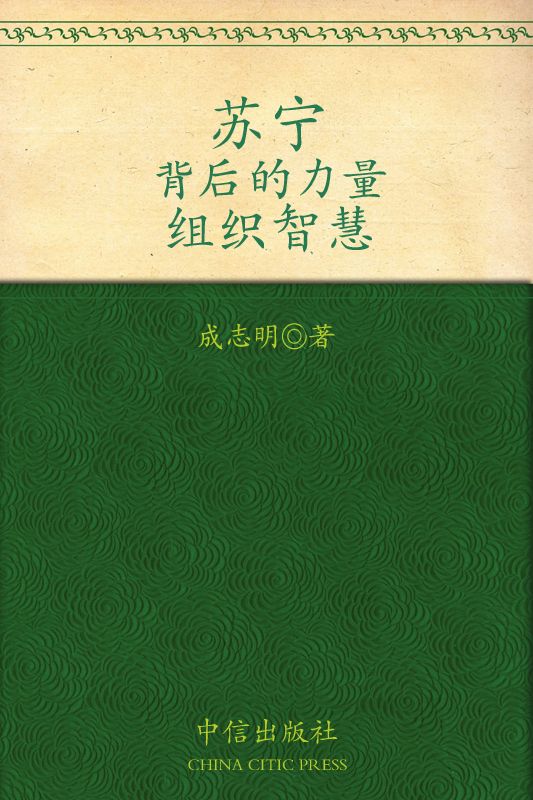 苏宁:背后的力量(组织智慧)