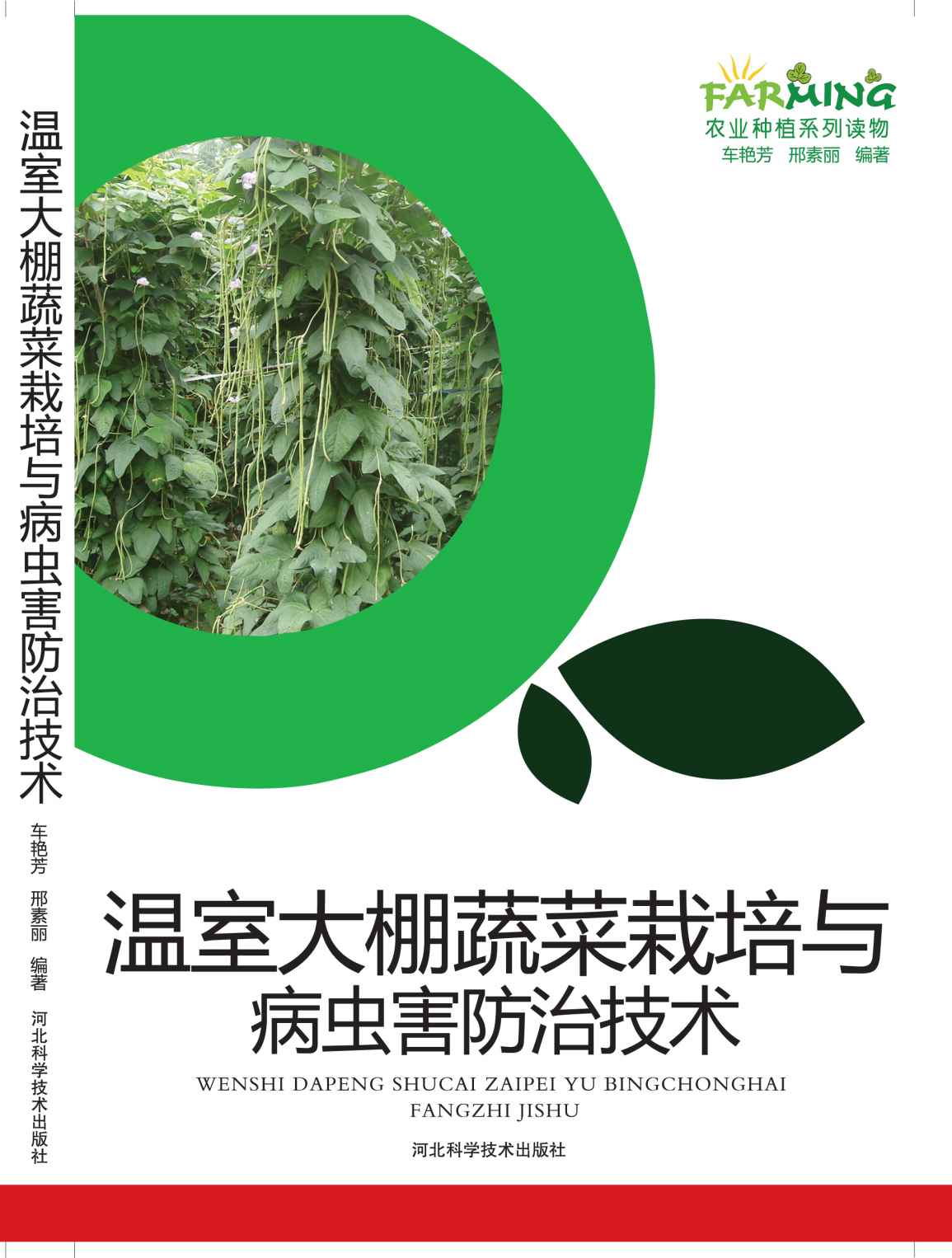 温室大棚蔬菜栽培与病虫害防治技术