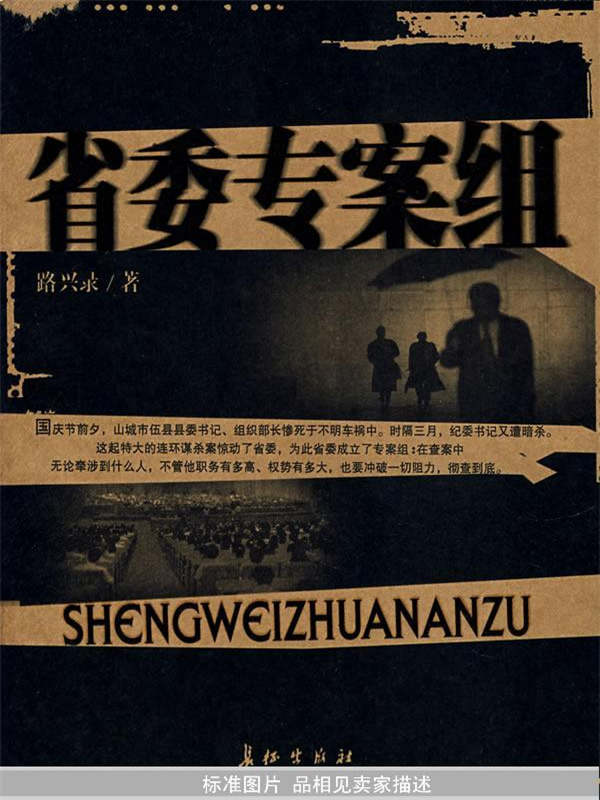 省委专案组