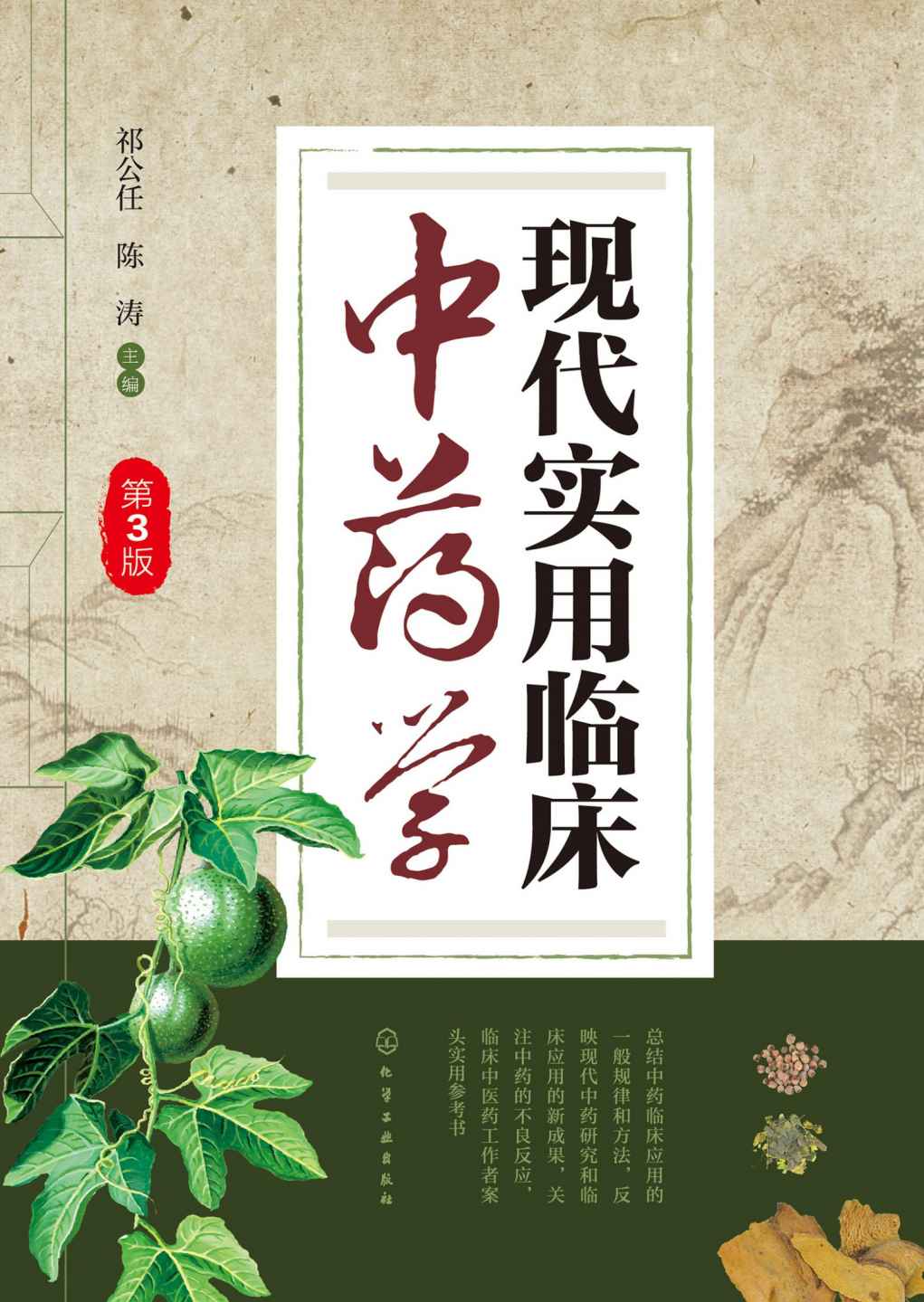 现代实用临床中药学（第三版）