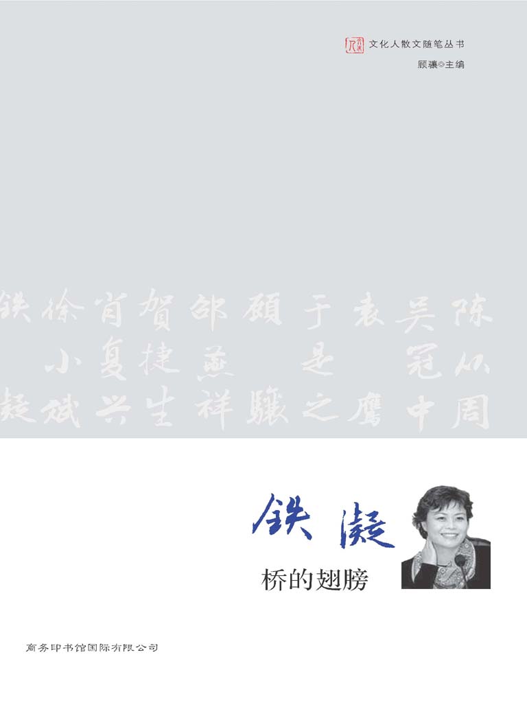 桥的翅膀 (文化人散文随笔丛书)