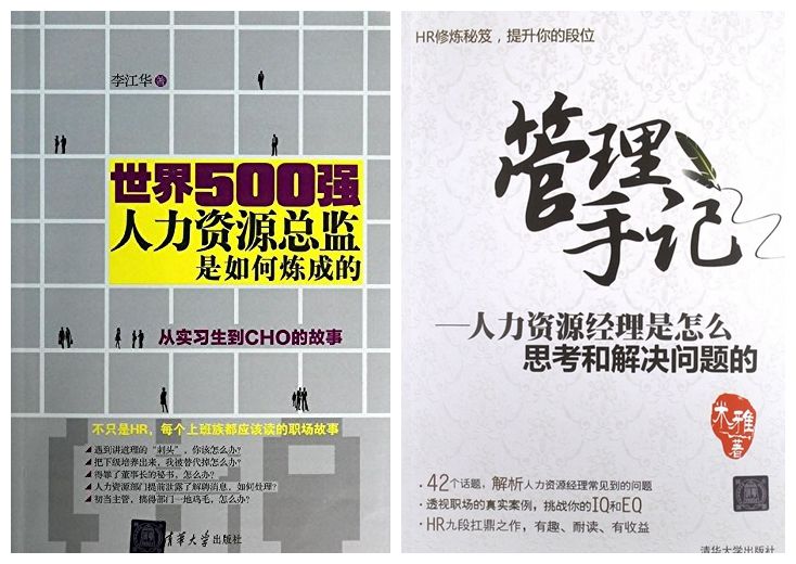 人力资源管理套装（世界500强人力资源总监是如何炼成的：从实习生到CHO的故事+管理手记：人力资源经理是怎么思考和解决问题的 共2本套装）