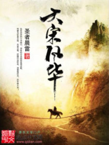 大宋风华