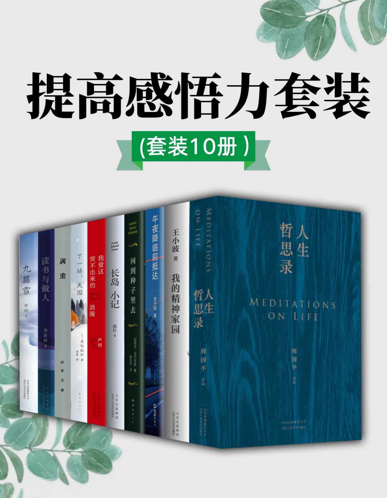 提高感悟力套装（拒绝成为工作机器，匆忙赶路、日渐麻木的同时，停下来思考，为感悟生活抛砖引玉）（套装10册）