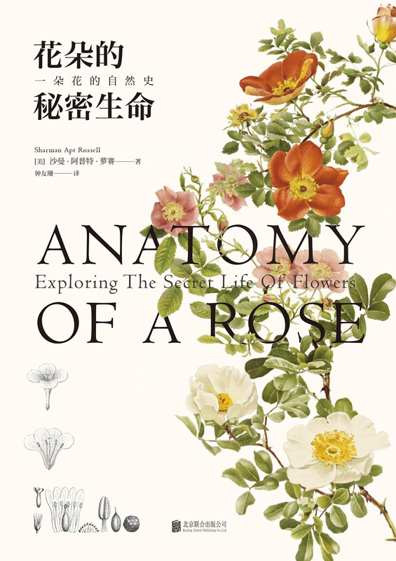 花朵的秘密生命：一朵花的自然史