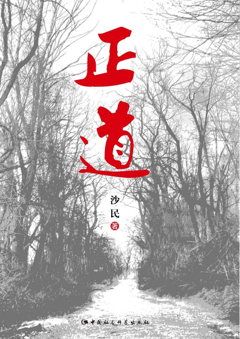 正道（不同人物的官场沉浮记）