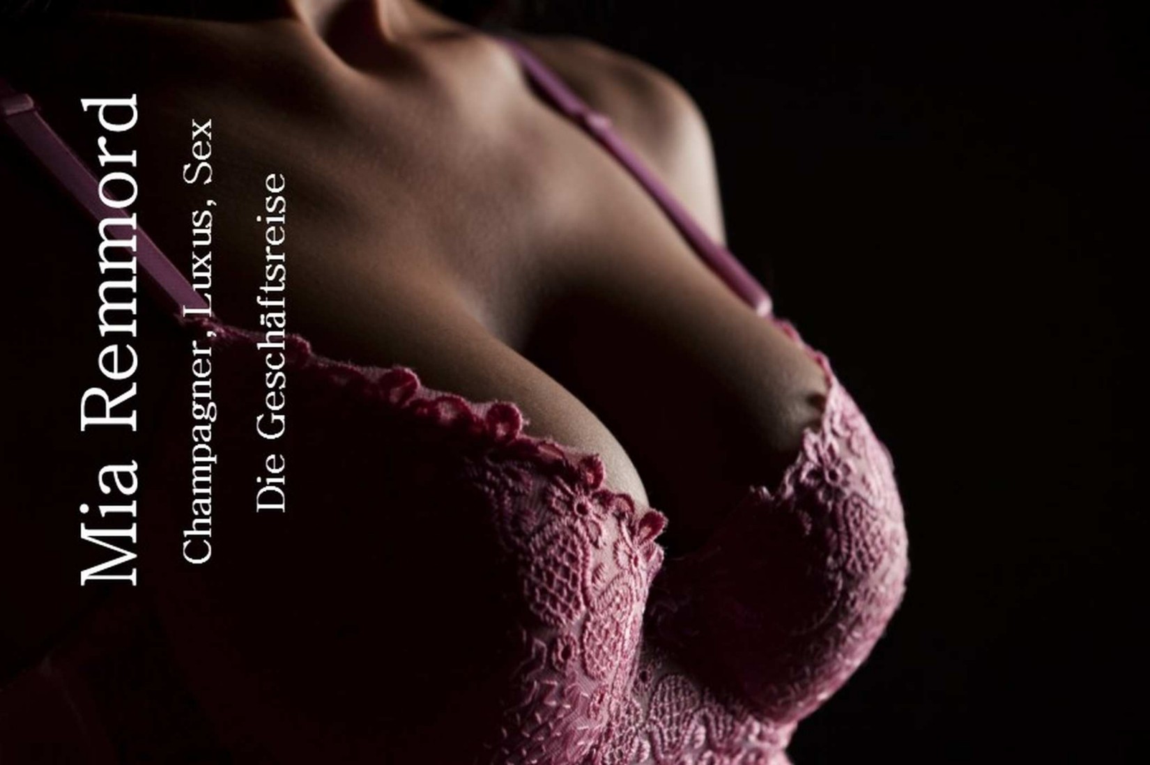 Champagner, Luxus, Sex: Die Geschäftsreise (German Edition)