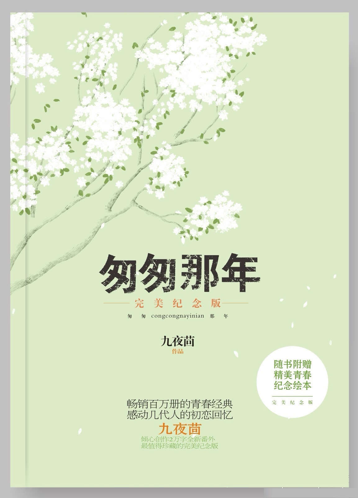 匆匆那年