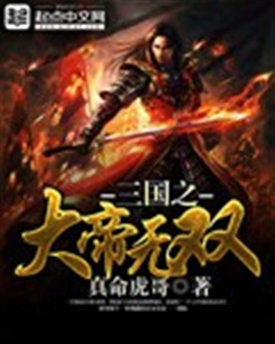 三国之大帝无双