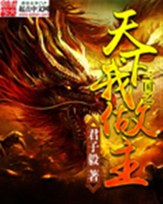 三国之天下我做主