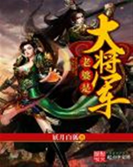 老婆是大将军