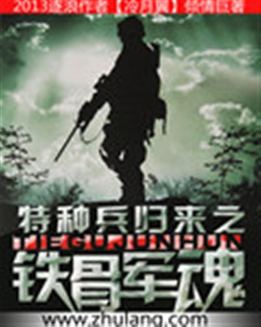 特种兵归来之铁骨军魂