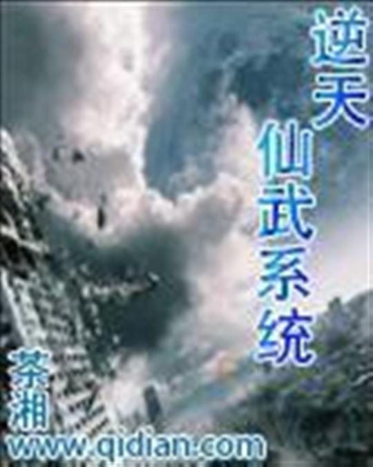 逆天仙武系统