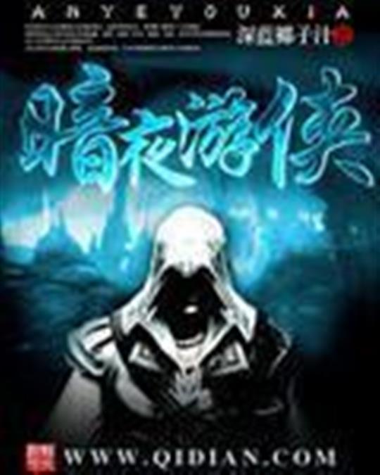 暗夜游侠