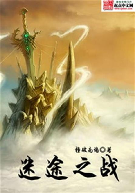 迷途之战