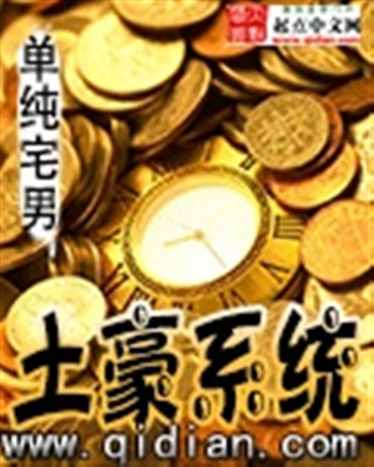 土豪系统