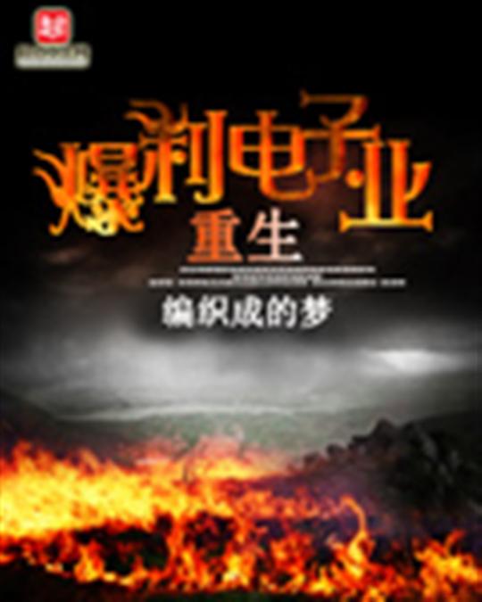 重生爆利电子业