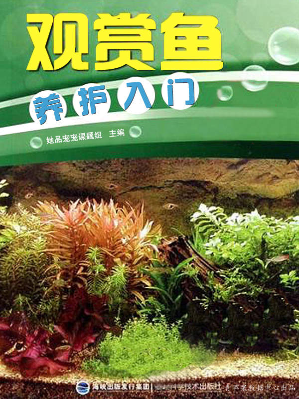观赏鱼养护入门